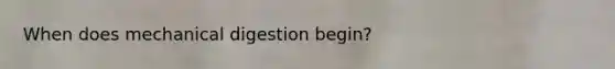 When does mechanical digestion begin?