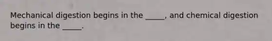 Mechanical digestion begins in the _____, and chemical digestion begins in the _____.