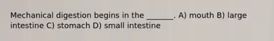 Mechanical digestion begins in the _______. A) mouth B) <a href='https://www.questionai.com/knowledge/kGQjby07OK-large-intestine' class='anchor-knowledge'>large intestine</a> C) stomach D) small intestine