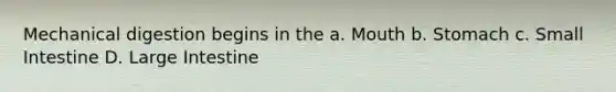 Mechanical digestion begins in the a. Mouth b. Stomach c. Small Intestine D. Large Intestine