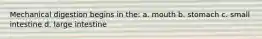 Mechanical digestion begins in the: a. mouth b. stomach c. small intestine d. large intestine
