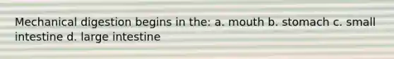 Mechanical digestion begins in the: a. mouth b. stomach c. small intestine d. large intestine