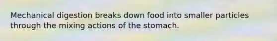 Mechanical digestion breaks down food into smaller particles through the mixing actions of <a href='https://www.questionai.com/knowledge/kLccSGjkt8-the-stomach' class='anchor-knowledge'>the stomach</a>.