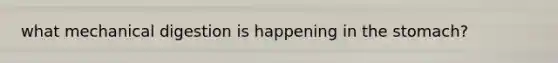 what mechanical digestion is happening in the stomach?