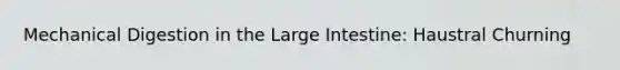 Mechanical Digestion in the Large Intestine: Haustral Churning