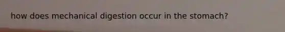 how does mechanical digestion occur in the stomach?