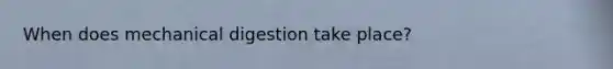 When does mechanical digestion take place?