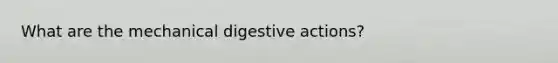 What are the mechanical digestive actions?