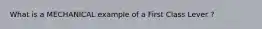 What is a MECHANICAL example of a First Class Lever ?