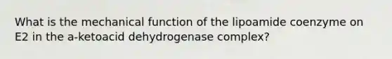 What is the mechanical function of the lipoamide coenzyme on E2 in the a-ketoacid dehydrogenase complex?