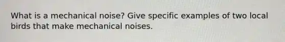 What is a mechanical noise? Give specific examples of two local birds that make mechanical noises.