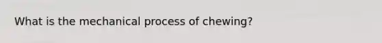 What is the mechanical process of chewing?