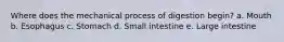 Where does the mechanical process of digestion begin? a. Mouth b. Esophagus c. Stomach d. Small intestine e. Large intestine