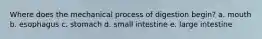 Where does the mechanical process of digestion begin? a. mouth b. esophagus c. stomach d. small intestine e. large intestine
