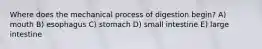 Where does the mechanical process of digestion begin? A) mouth B) esophagus C) stomach D) small intestine E) large intestine