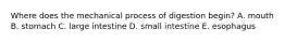Where does the mechanical process of digestion begin? A. mouth B. stomach C. large intestine D. small intestine E. esophagus