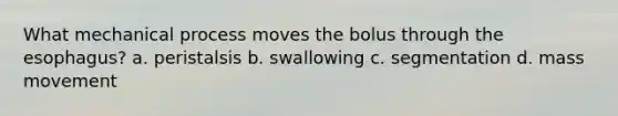 What mechanical process moves the bolus through the esophagus? a. peristalsis b. swallowing c. segmentation d. mass movement