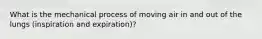 What is the mechanical process of moving air in and out of the lungs (inspiration and expiration)?