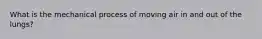 What is the mechanical process of moving air in and out of the lungs?