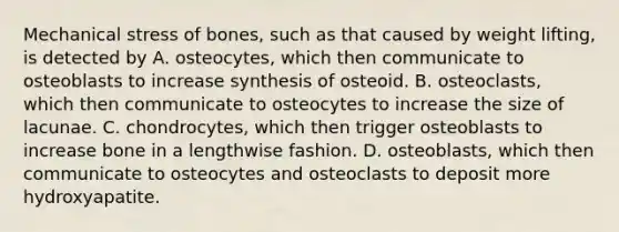 Mechanical stress of bones, such as that caused by weight lifting, is detected by A. osteocytes, which then communicate to osteoblasts to increase synthesis of osteoid. B. osteoclasts, which then communicate to osteocytes to increase the size of lacunae. C. chondrocytes, which then trigger osteoblasts to increase bone in a lengthwise fashion. D. osteoblasts, which then communicate to osteocytes and osteoclasts to deposit more hydroxyapatite.