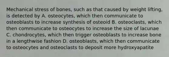 Mechanical stress of bones, such as that caused by weight lifting, is detected by A. osteocytes, which then communicate to osteoblasts to increase synthesis of osteoid B. osteoclasts, which then communicate to osteocytes to increase the size of lacunae C. chondrocytes, which then trigger osteoblasts to increase bone in a lengthwise fashion D. osteoblasts, which then communicate to osteocytes and osteoclasts to deposit more hydroxyapatite