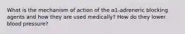 What is the mechanism of action of the α1-adreneric blocking agents and how they are used medically? How do they lower blood pressure?