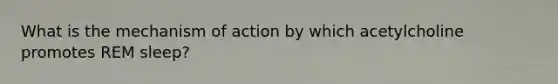 What is the mechanism of action by which acetylcholine promotes REM sleep?