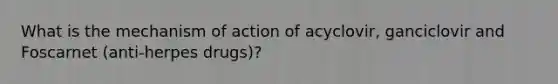 What is the mechanism of action of acyclovir, ganciclovir and Foscarnet (anti-herpes drugs)?