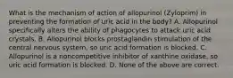 What is the mechanism of action of allopurinol (Zyloprim) in preventing the formation of uric acid in the body? A. Allopurinol specifically alters the ability of phagocytes to attack uric acid crystals. B. Allopurinol blocks prostaglandin stimulation of the central nervous system, so uric acid formation is blocked. C. Allopurinol is a noncompetitive inhibitor of xanthine oxidase, so uric acid formation is blocked. D. None of the above are correct.