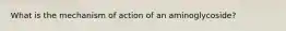 What is the mechanism of action of an aminoglycoside?