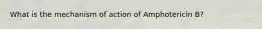 What is the mechanism of action of Amphotericin B?