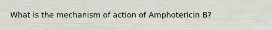 What is the mechanism of action of Amphotericin B?