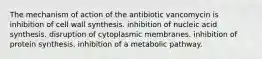 The mechanism of action of the antibiotic vancomycin is inhibition of cell wall synthesis. inhibition of nucleic acid synthesis. disruption of cytoplasmic membranes. inhibition of protein synthesis. inhibition of a metabolic pathway.