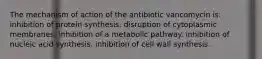 The mechanism of action of the antibiotic vancomycin is: inhibition of protein synthesis. disruption of cytoplasmic membranes. inhibition of a metabolic pathway. inhibition of nucleic acid synthesis. inhibition of cell wall synthesis.