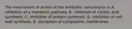 The mechanism of action of the antibiotic vancomycin is A. inhibition of a metabolic pathway. B. inhibition of nucleic acid synthesis. C. inhibition of protein synthesis. D. inhibition of cell wall synthesis. E. disruption of cytoplasmic membranes.