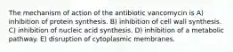 The mechanism of action of the antibiotic vancomycin is A) inhibition of protein synthesis. B) inhibition of cell wall synthesis. C) inhibition of nucleic acid synthesis. D) inhibition of a metabolic pathway. E) disruption of cytoplasmic membranes.