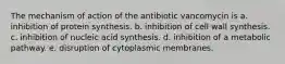 The mechanism of action of the antibiotic vancomycin is a. inhibition of protein synthesis. b. inhibition of cell wall synthesis. c. inhibition of nucleic acid synthesis. d. inhibition of a metabolic pathway. e. disruption of cytoplasmic membranes.