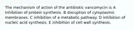 The mechanism of action of the antibiotic vancomycin is A Inhibition of protein synthesis. B disruption of cytoplasmic membranes. C inhibition of a metabolic pathway. D inhibition of nucleic acid synthesis. E inhibition of cell wall synthesis.