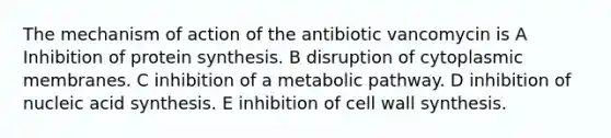 The mechanism of action of the antibiotic vancomycin is A Inhibition of protein synthesis. B disruption of cytoplasmic membranes. C inhibition of a metabolic pathway. D inhibition of nucleic acid synthesis. E inhibition of cell wall synthesis.