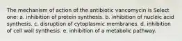 The mechanism of action of the antibiotic vancomycin is Select one: a. inhibition of protein synthesis. b. inhibition of nucleic acid synthesis. c. disruption of cytoplasmic membranes. d. inhibition of cell wall synthesis. e. inhibition of a metabolic pathway.