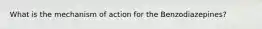 What is the mechanism of action for the Benzodiazepines?