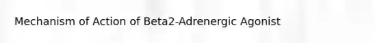 Mechanism of Action of Beta2-Adrenergic Agonist