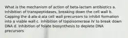 What is the mechanism of action of beta-lactam antibiotics a. Inhibition of transpeptidases, breaking down the cell wall b. Capping the d-ala-d-ala cell wall precursors to inhibit formation into a viable wall c. Inhibition of topoisomerase IV to break down DNA d. Inhibition of folate biosynthesis to deplete DNA precursors