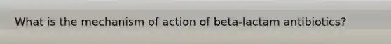 What is the mechanism of action of beta-lactam antibiotics?