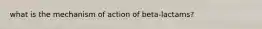 what is the mechanism of action of beta-lactams?