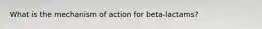 What is the mechanism of action for beta-lactams?