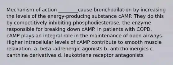 Mechanism of action ________cause bronchodilation by increasing the levels of the energy-producing substance cAMP. They do this by competitively inhibiting phosphodiesterase, the enzyme responsible for breaking down cAMP. In patients with COPD, cAMP plays an integral role in the maintenance of open airways. Higher intracellular levels of cAMP contribute to smooth muscle relaxation. a. beta -adrenergic agonists b. anticholinergics c. xanthine derivatives d. leukotriene receptor antagonists