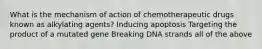 What is the mechanism of action of chemotherapeutic drugs known as alkylating agents? Inducing apoptosis Targeting the product of a mutated gene Breaking DNA strands all of the above