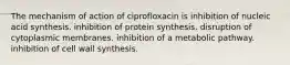 The mechanism of action of ciprofloxacin is inhibition of nucleic acid synthesis. inhibition of protein synthesis. disruption of cytoplasmic membranes. inhibition of a metabolic pathway. inhibition of cell wall synthesis.