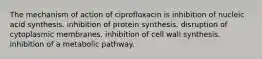 The mechanism of action of ciprofloxacin is inhibition of nucleic acid synthesis. inhibition of protein synthesis. disruption of cytoplasmic membranes. inhibition of cell wall synthesis. inhibition of a metabolic pathway.